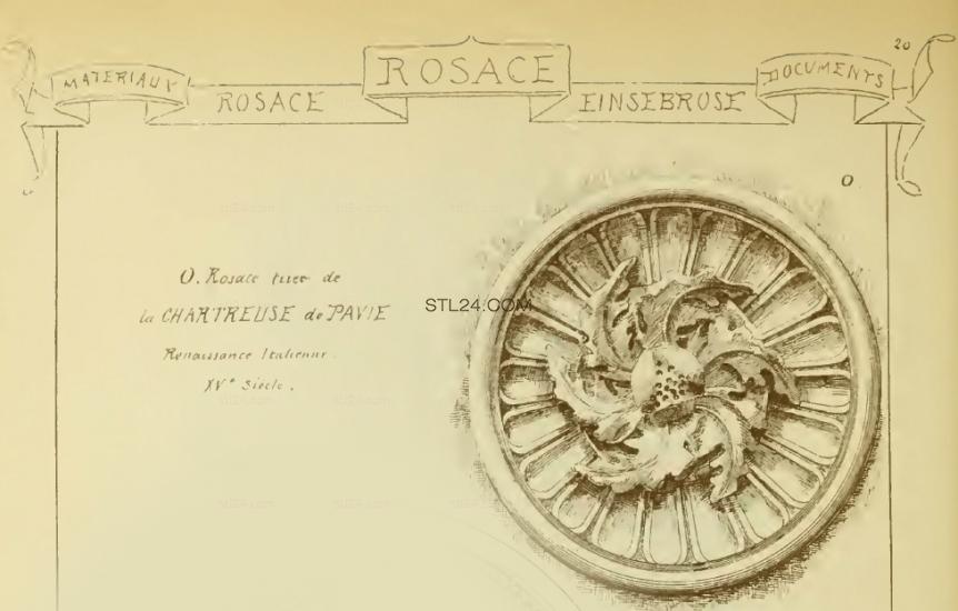 ROSETTE_0063